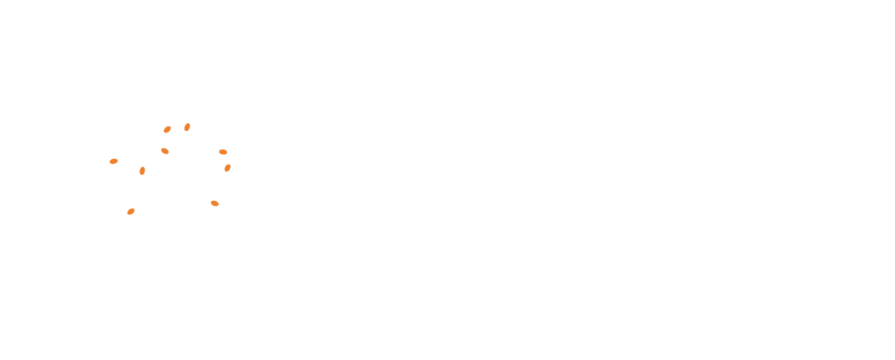 PLE - CONSEIL
